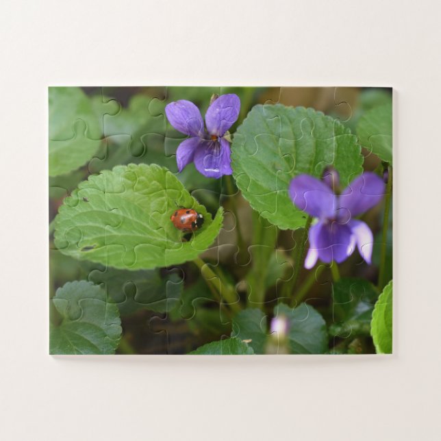 Ladybug on Sweet Violet Flowers Jigsaw Puzzle (Horizontal)