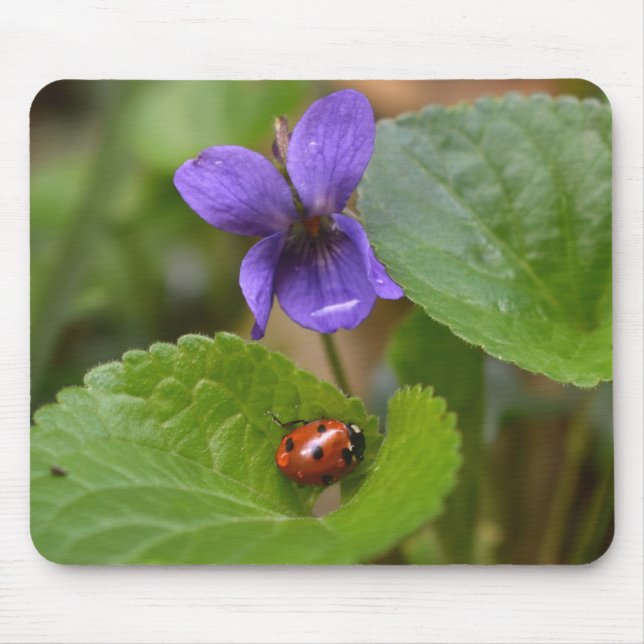 Ladybug on Sweet Violet Flowers Mouse Mat (Front)