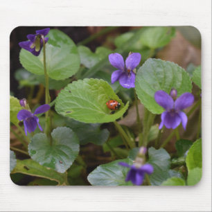 Ladybug on Sweet Violet Flowers Mouse Mat