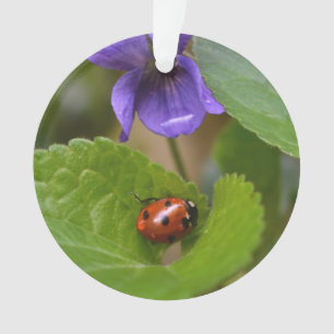 Ladybug on Sweet Violet Flowers Ornament