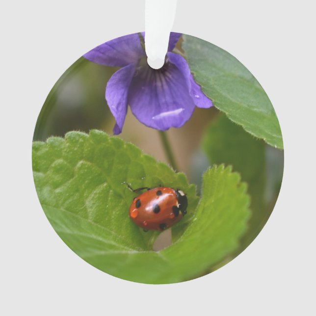 Ladybug on Sweet Violet Flowers Ornament (Front)