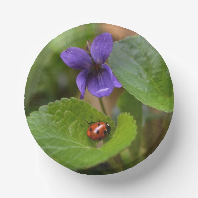 Ladybug on Sweet Violet Flowers Paper Plate (Front)