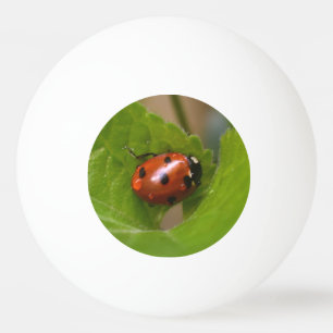 Ladybug on Sweet Violet Flowers Ping Pong Ball