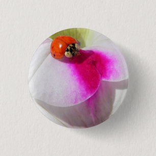 Ladybug on the petunia Button