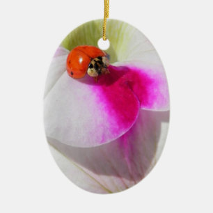 Ladybug on the petunia - ornament