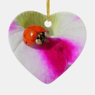 Ladybug on the petunia - ornament