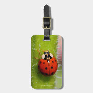 Ladybug on the Sunflower Stalk Luggage Tag