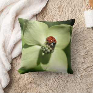 Ladybug On White Dogwood Flower  Cushion