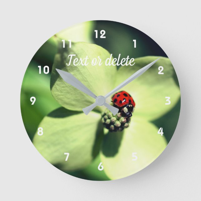 Ladybug On White Dogwood Flower Personalised Round Clock (Front)