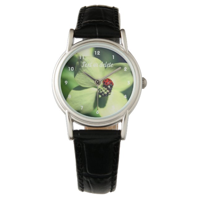 Ladybug On White Dogwood Flower Personalised  Watch (Front)