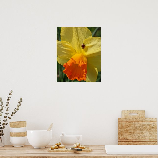Ladybug on Yellow Daffodil Floral Poster (Kitchen)