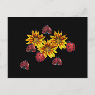 Ladybug Party Postcard