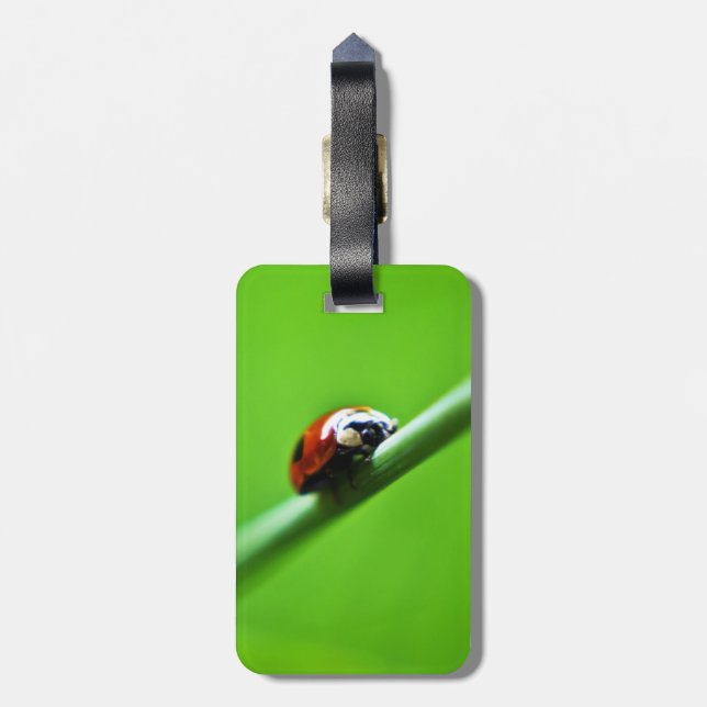 Ladybug photo luggage tag (Back Vertical)