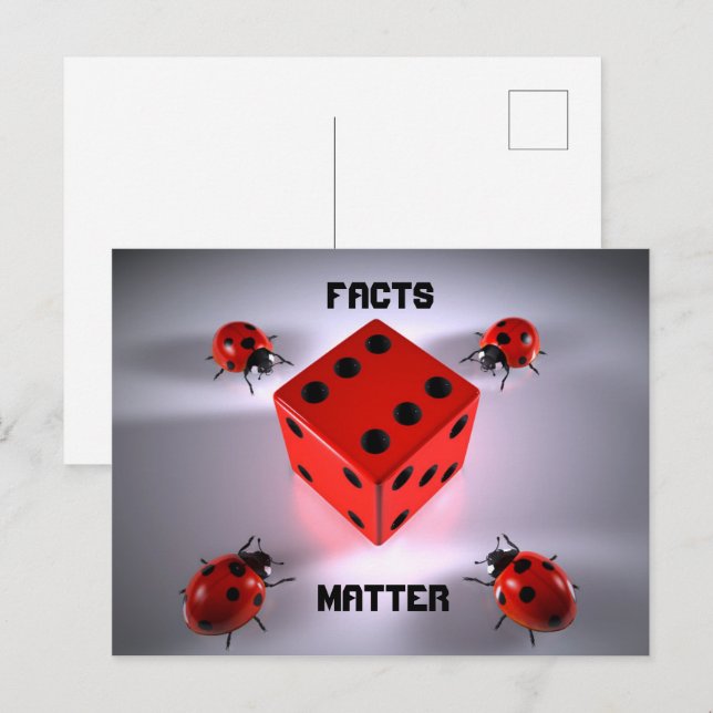 Ladybug Postcard (Front/Back)