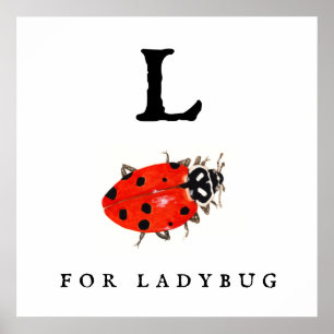 Ladybug Poster