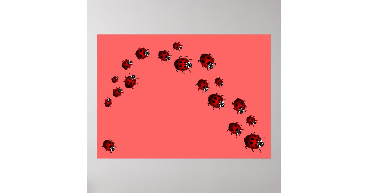 Ladybug Print Ladybird Art Large Small Poster | Zazzle