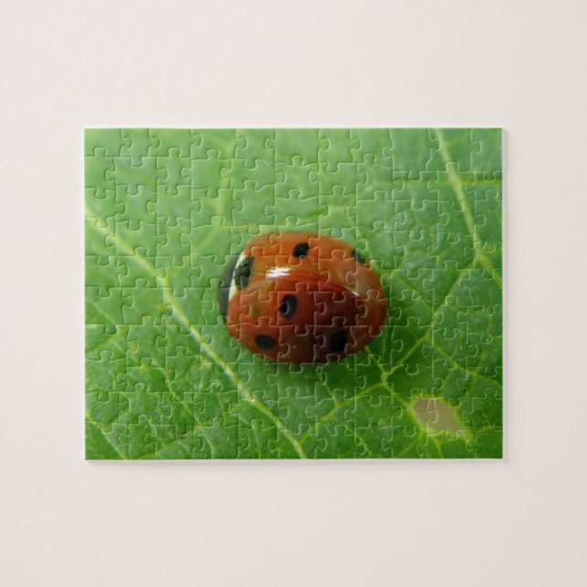 Ladybug Puzzle (Horizontal)