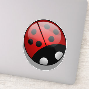 Ladybug, Red Ladybug, Cute Ladybug, Lady Beetle