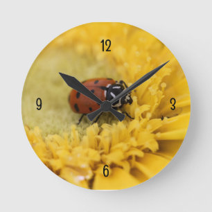 Ladybug Round Clock