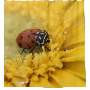 Ladybug Shower Curtain
