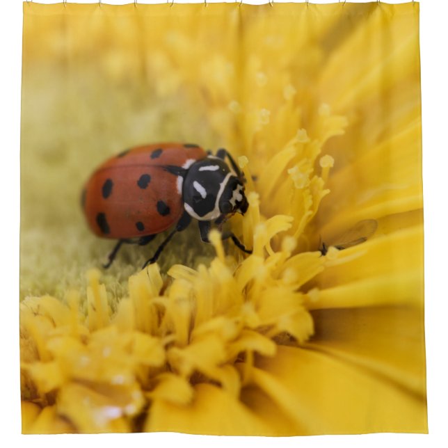 Ladybug Shower Curtain (Front)