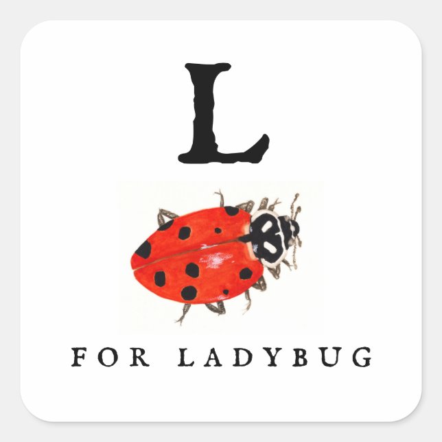Ladybug  square sticker (Front)