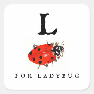 Ladybug  square sticker