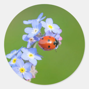Ladybug Stickers