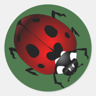Ladybug Stickers Red Ladybugs Art Stickers