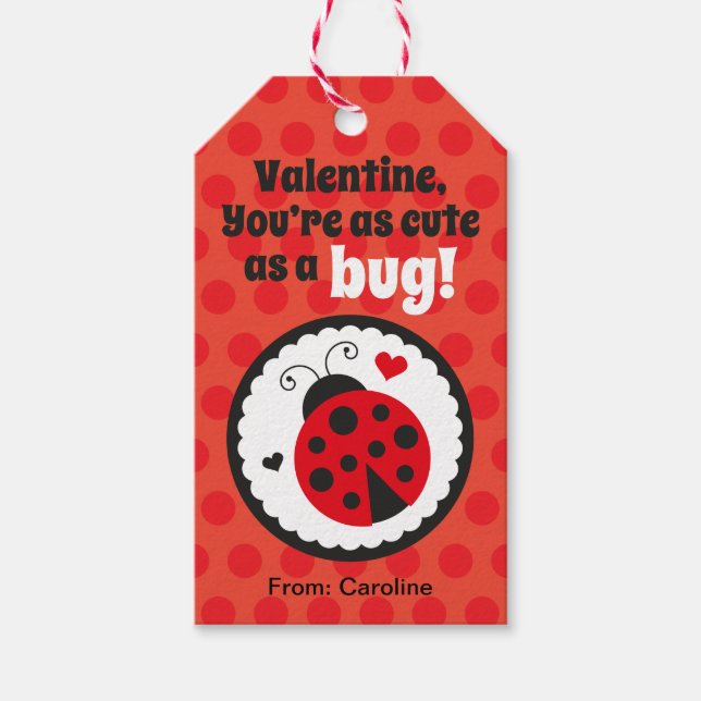 Ladybug Valentine Gift Tag for Kids (Front)
