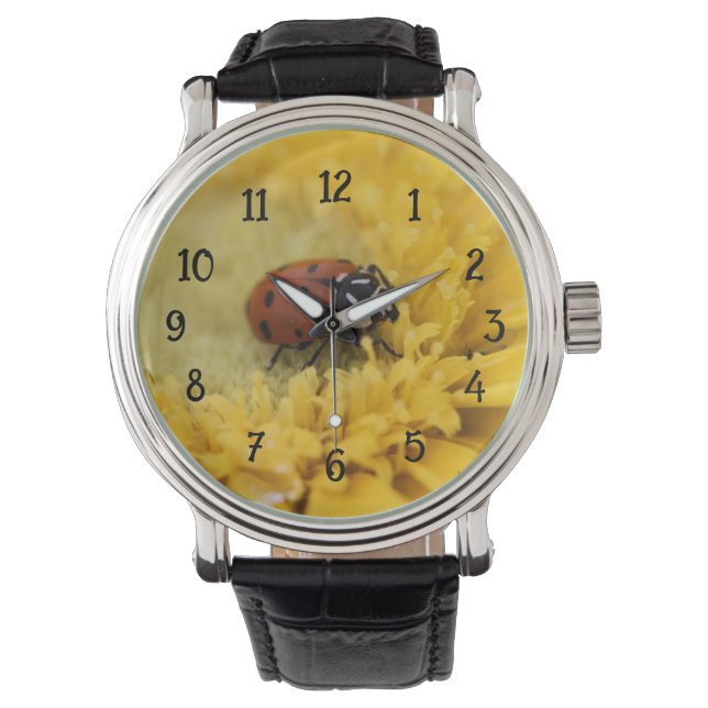 Ladybug Watch (Front)