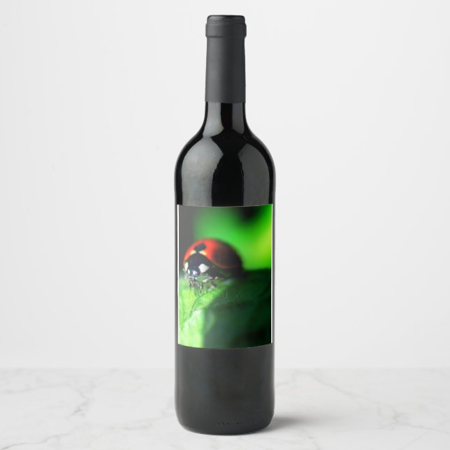 Ladybug Wine Label (Front)