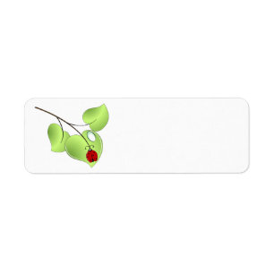 Ladybug with three leaves and a drop