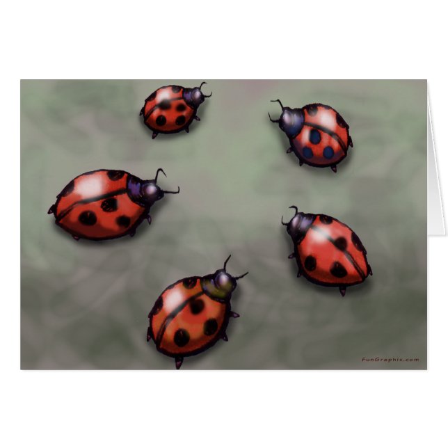 Ladybugs (Front Horizontal)