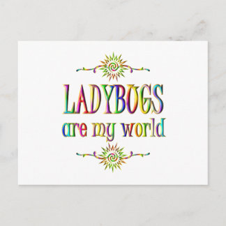 LADYBUGS are my world Postcard
