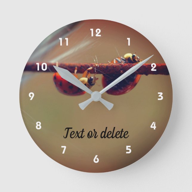 Ladybugs Balancing Close Up Personalised Round Clock (Front)