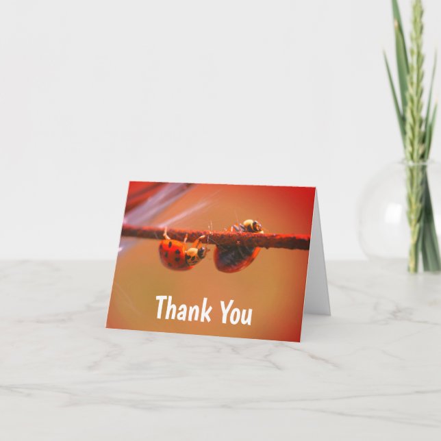 Ladybugs Balancing Nature Thank You Card (Front)