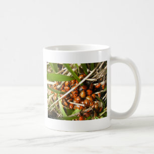 Ladybugs (Coccinellidae) Coffee Mug