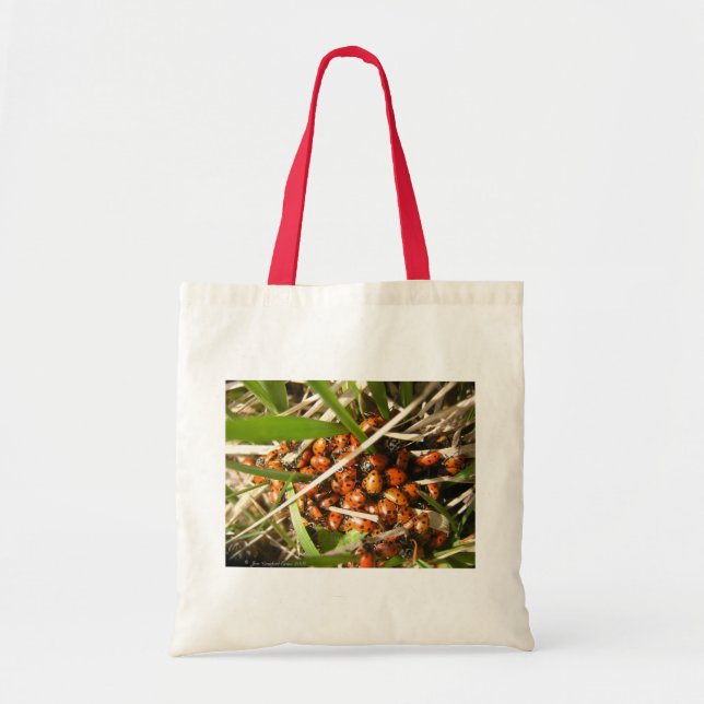 Ladybugs (Coccinellidae) Tote Bag (Front)