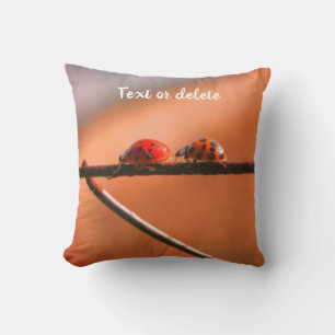 Ladybugs Follow The Leader Personalised  Cushion