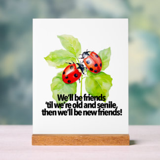 Ladybugs friendship quote funny Anniversary BFF Acrylic Sign