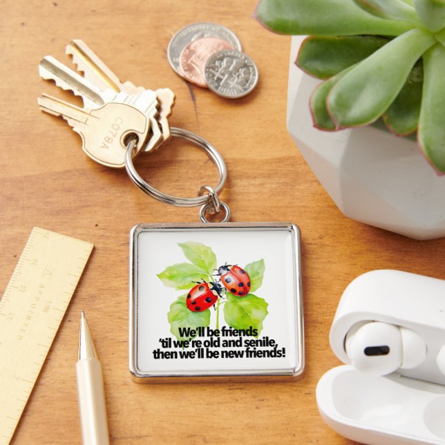 Ladybugs friendship quote funny Anniversary BFF Key Ring (Desk)