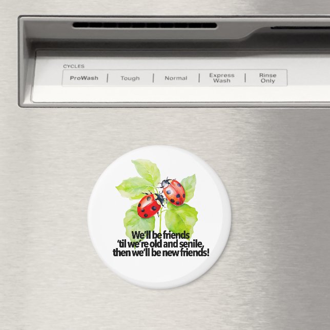 Ladybugs friendship quote funny Anniversary BFF Magnet (In Situ (Dishwasher))