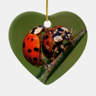 Ladybugs In Love Ceramic Tree Decoration
