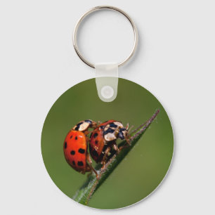 Ladybugs In Love Key Ring