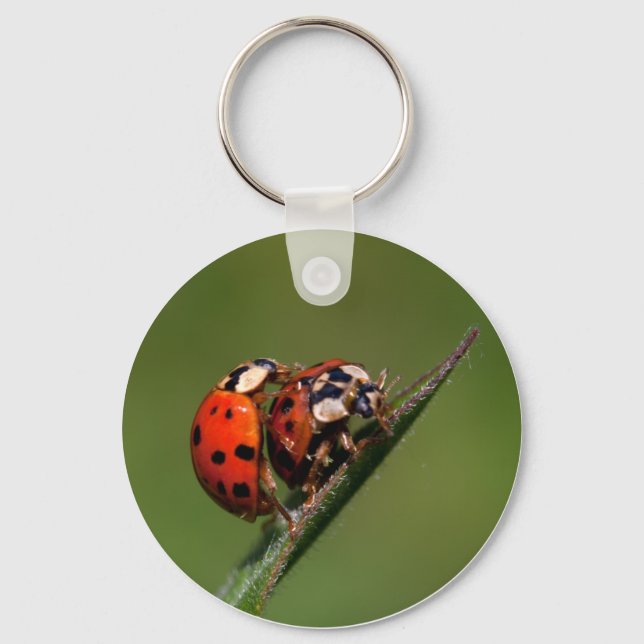 Ladybugs In Love Key Ring (Front)