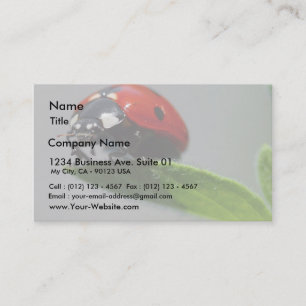 Ladybugs Insects Business Card