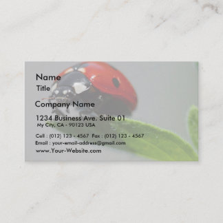 Ladybugs Insects Business Card