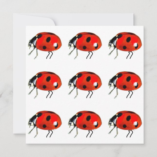 Ladybugs Notecard (Front)