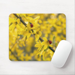 Ladybugs on Yellow Forsythia Branch Mouse Mat